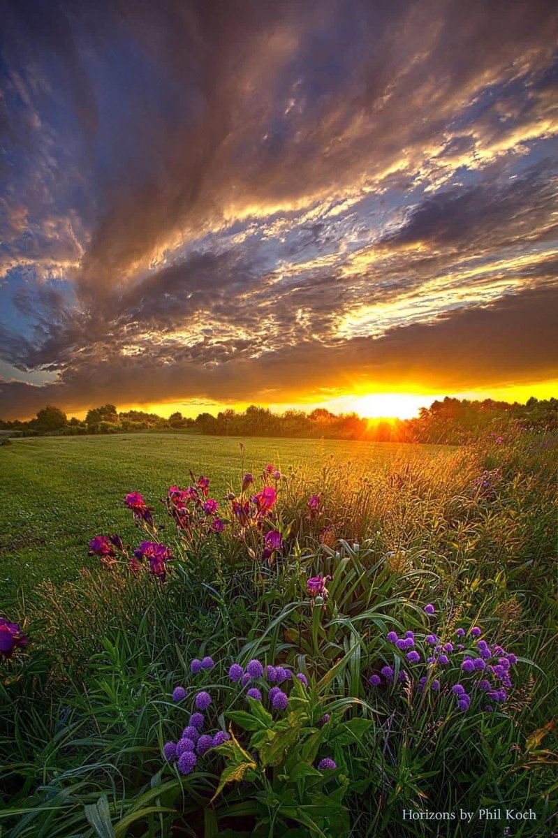 DonnaKafer's tweet photo. "On Your Prayers Up in the Sky"
Wisconsin Horizons by Phil Koch
turning landscapes in to natural portraits.
https://t.co/Ni7ZZIzJNw https://t.co/dl9IVuNKO3