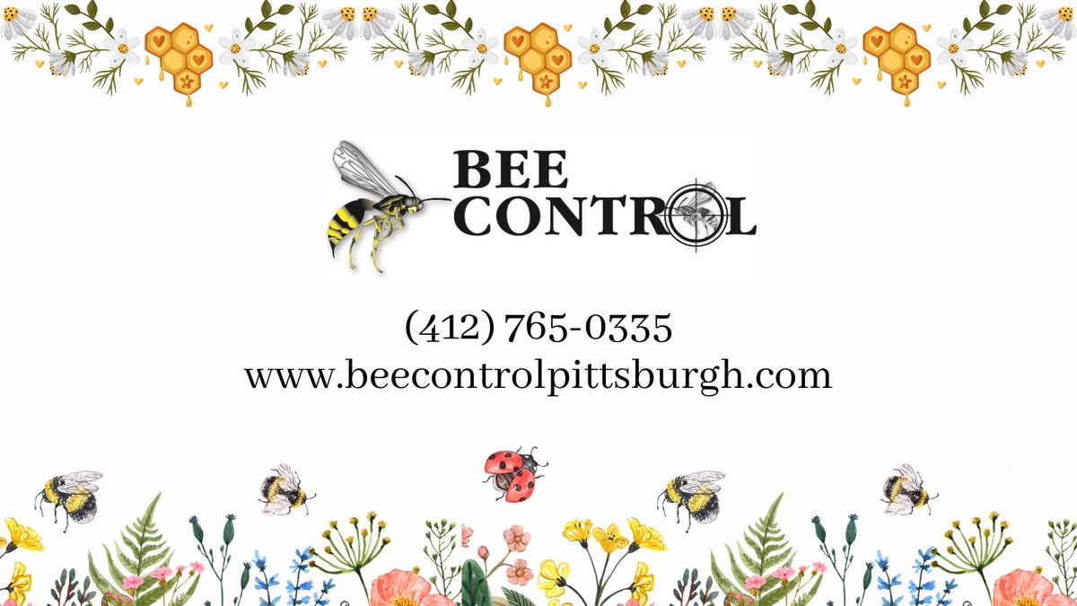 beecontrolpitts's tweet photo. Bees, wasps, or hornets taking over? Bee Control provides fast, safe removal for homes &amp; businesses. 

Call (412) 765-0335 today! 
Learn more at https://t.co/D9UZDQKwWN. 

#BeeRemoval #Pittsburgh https://t.co/duKJutXhIE