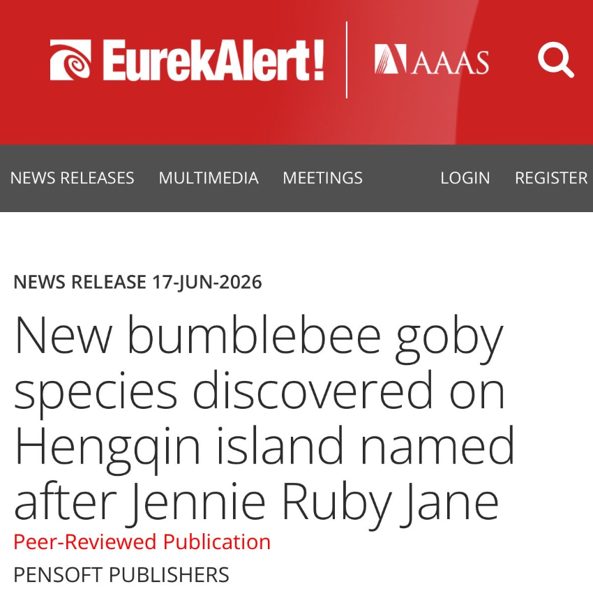 WorldwideJNK's tweet photo. [#JENNIE'S IMPACT]

"Brachygobius jennie" a new Bumblebee Goby Species Discovered on Hengqin, China.
The new species has been named Brachygobius jennie, commonly known as Jennie’s Bumblebee Goby, in honour of the South Korean singer Jennie Ruby Jane.

@oddatelier @jennierubyjane https://t.co/t6K5nU0yMw
