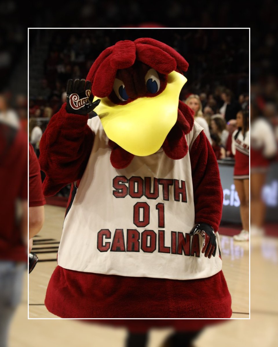 CLAmktg's tweet photo. Happy National Mascot Day, Cocky! 🤙 https://t.co/bIoxOTfXGw