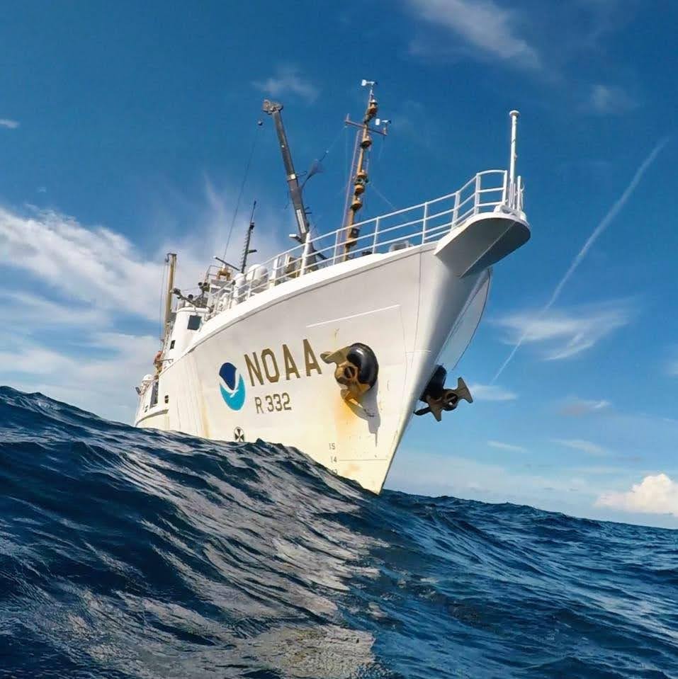 NOAANCEI's tweet photo. 🚢 We love keeping up with our NOAA scientists at sea. Follow Oregon II scientists through their Gulf of America Hypoxia Watch Survey for a first look at the 2026 #GulfDeadZone. Learn more: https://t.co/Qd4QgaVmnq @NOAA @NOAAFisheries https://t.co/ZSRI932gY6