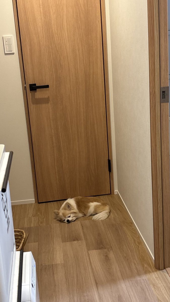 listhyd's tweet photo. おてあらいに行きたいんだけども( ˙꒳​˙  )
通してくれんかね( ˙꒳​˙  ) https://t.co/AWpn1PdjUP
