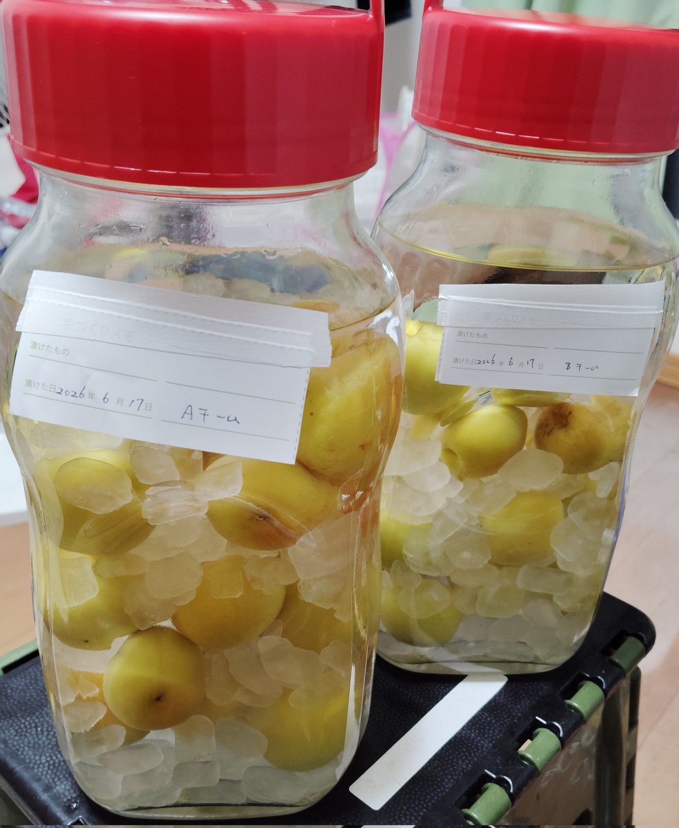 mihamanp56's tweet photo. 梅酒🍸️
オーソドックスな作り方。
じっくり育てます。
来年、キャンプに連れて行く楽しみ⛺️
#梅酒 https://t.co/L7bw4aersf