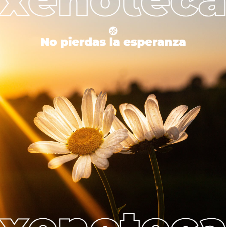 Xenoteca tweet media