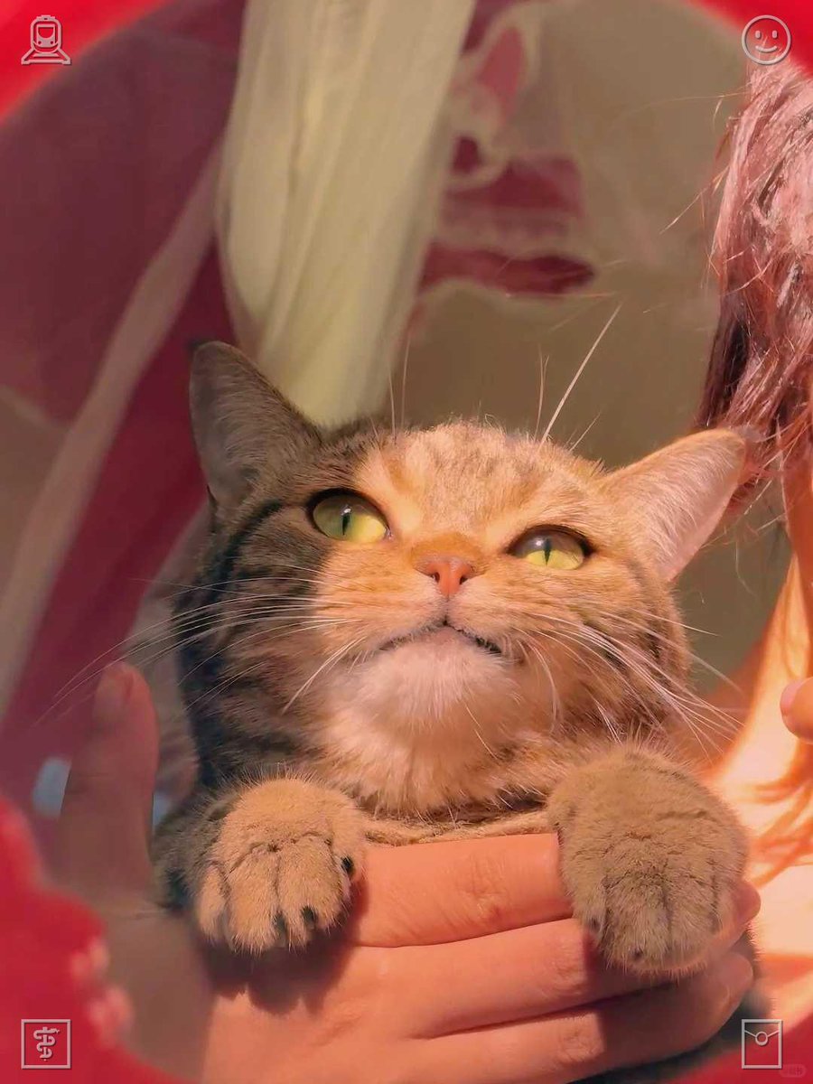KyRichards1's tweet photo. Clara smiled and nodded. “That sounds great. If it’s alright with you, I’ll begin next weekend. I’m free then, and I’d really enjoy spending more time with the cats—and with all of you, too.” https://t.co/mfwYhUCMmv