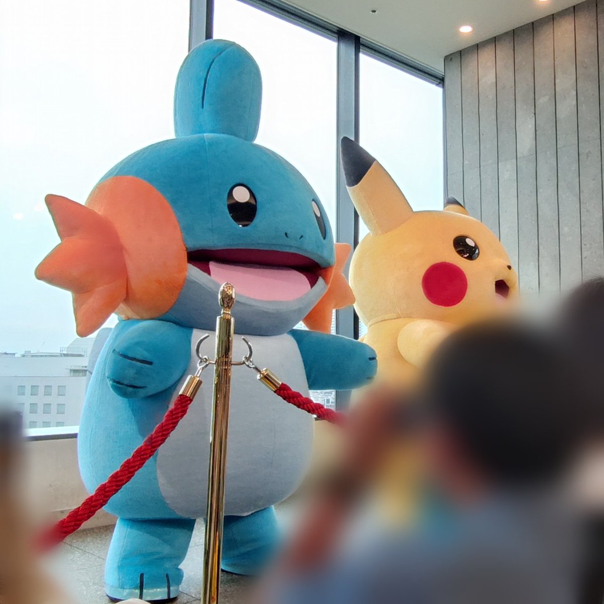 14日はポケセンスカイツリーで、ミズゴロウのグリーディングを見たので