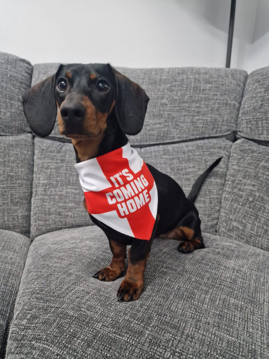 decsarge's tweet photo. #ssnthreelions https://t.co/NQWmIdMBos