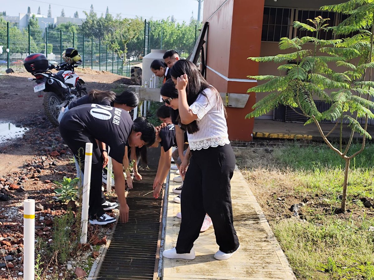 normal_ensv's tweet photo. ¡Éxito en el Tequio ENSV! 🧹🌱
Este martes, la comunidad de la Escuela Normal Superior Veracruzana cambió las aulas por escobas en una jornada masiva de limpieza. Una tradición ancestral de trabajo colectivo que renueva las instalaciones, fortalece el tejido social y el orgullo. https://t.co/oGUzTZlBWJ