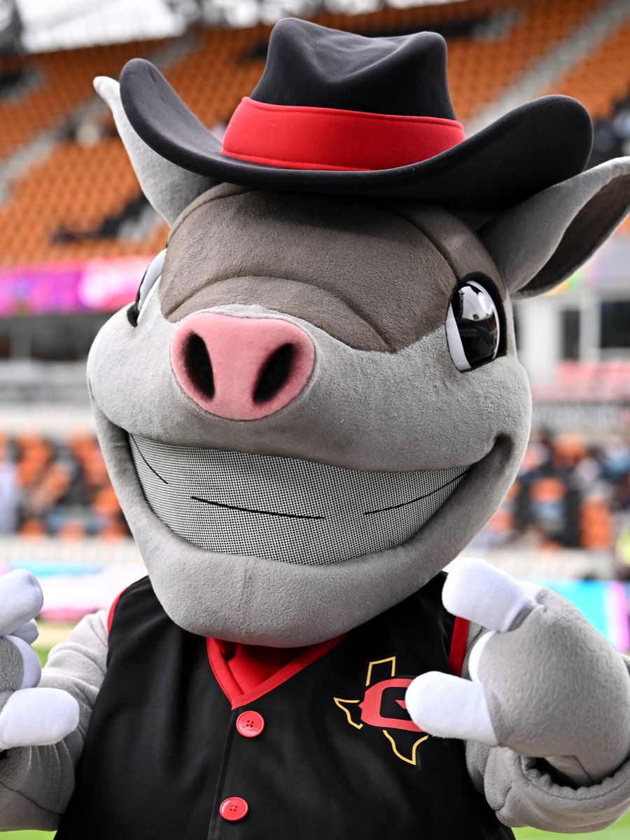 UFLGamblers's tweet photo. No one brings the energy like Ace 🤘

Happy National Mascot Day to Houston's favorite armadillo! https://t.co/0r6zhbnCUn