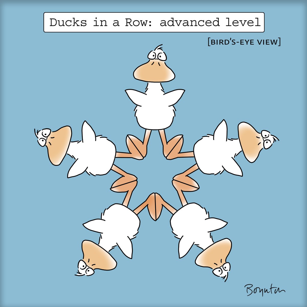 SandyBoynton's tweet photo. Perfect day for Duck Arranging. https://t.co/jnheVdxwxP