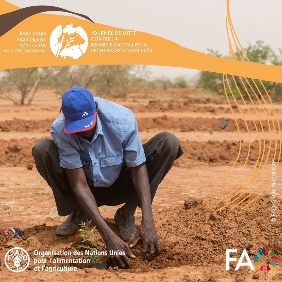 FAOenFrancais tweet picture
