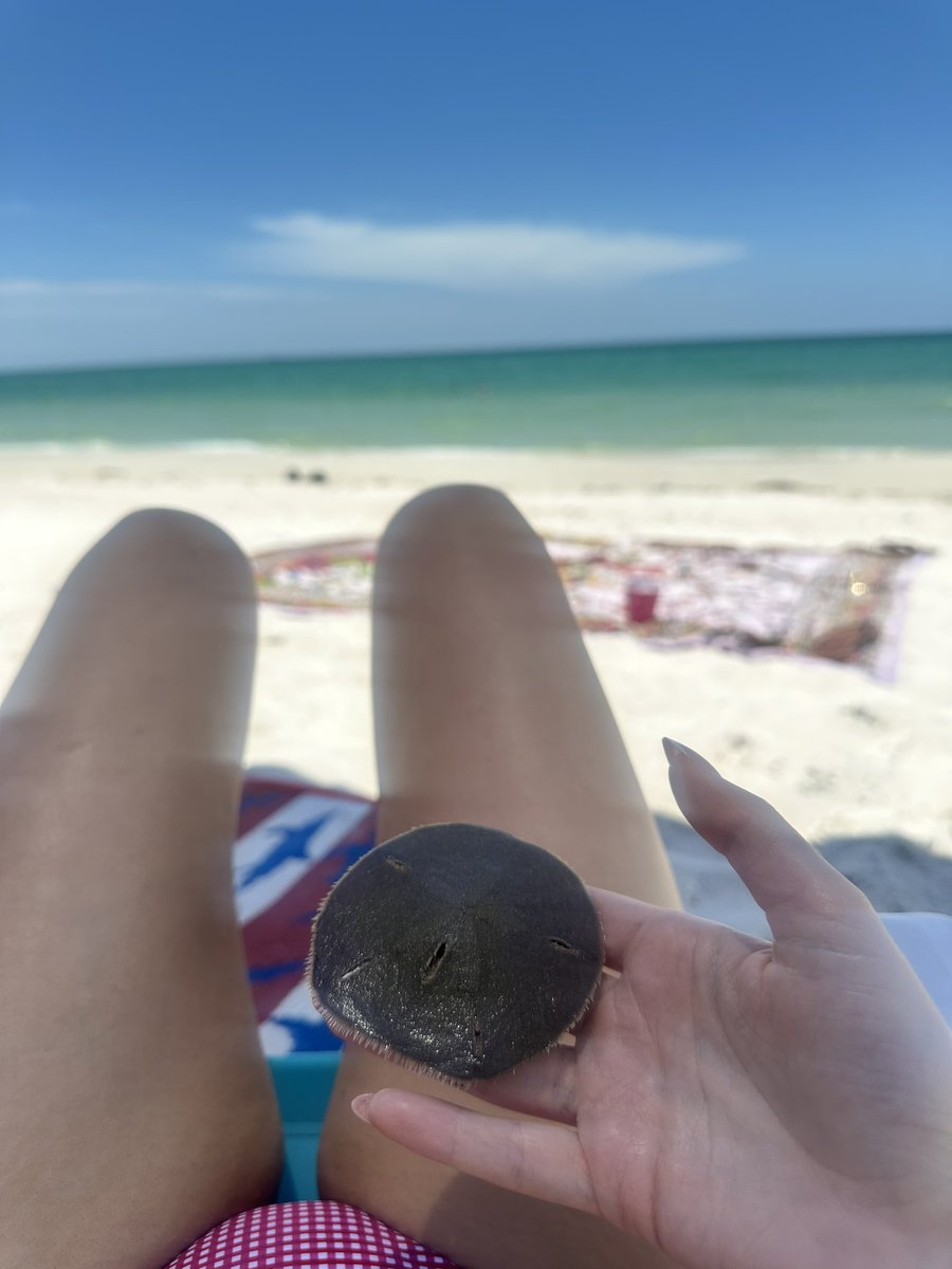 charzar98's tweet photo. Taking all my pain and suffering and turning it into something noble: an impromptu Florida trip w 3 gay men https://t.co/sa1zzb34vI