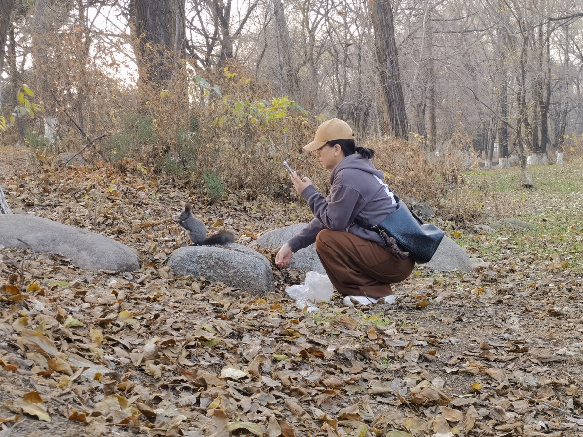 pazymuct's tweet photo. A fun afternoon with my little explorer! We hunted for colorful leaves, made a leaf art craft, and laughed so hard when we chased a fluffy squirrel  Family time = best time https://t.co/Ty4bQUoP55