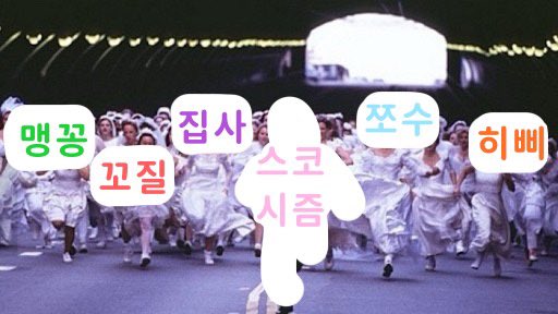 두뱜 tweet media