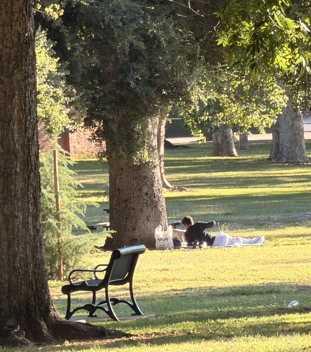 SacWalkSafe's tweet photo. Day 91/100 #ThisIsNotNormal #Sacramento McKinley Park.  Even tho @MayorMcCarty @pluckebaum @phil4sacramento passed a council resolution to ban camping specifically at McKinley Park, here we are, now. https://t.co/8PUizlpOhn