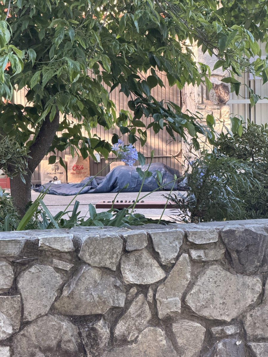SacWalkSafe's tweet photo. Day 91/100 #ThisIsNotNormal #Sacramento McKinley Park.  Even tho @MayorMcCarty @pluckebaum @phil4sacramento passed a council resolution to ban camping specifically at McKinley Park, here we are, now. https://t.co/8PUizlpOhn