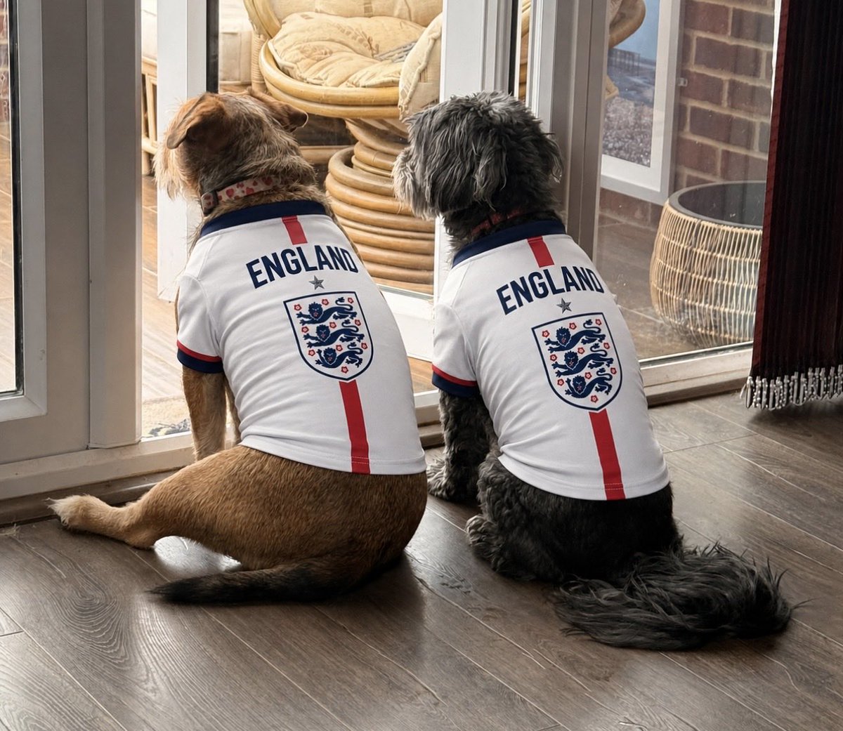 BevHandley's tweet photo. #ssnthreelions https://t.co/BahzkbTt0J