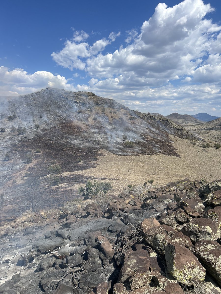 azstateforestry's tweet photo. The #GrandviewFire located north of Flagstaff is 100% contained at approx. 50 ac. 

There is still some smoldering within the fire's interior due to the consumption of the heavy dead/down vegetation. Fire overhead will monitor the incident through the day. 

The Grandview Fire started Tues. 6/16 by a lightning strike, approximately 38 miles north of Flagstaff, south of SP Crater, & west of US Route 89. 

#AZFire #AZForestry #CoconinoCounty