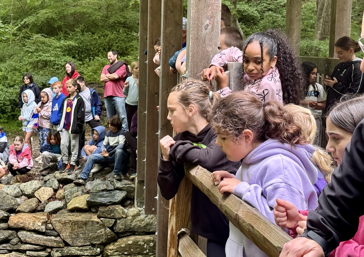 MahopacSchools's tweet photo. After months of caring for trout in their classrooms, Fulmar Road 4th graders recently traveled to Ward Pound Ridge Reservation to release the fish into a local stream as part of the Trout in the Classroom program.

Click below to read the entire article:
https://t.co/k8Nv5kehHW https://t.co/deuh0GxEzJ