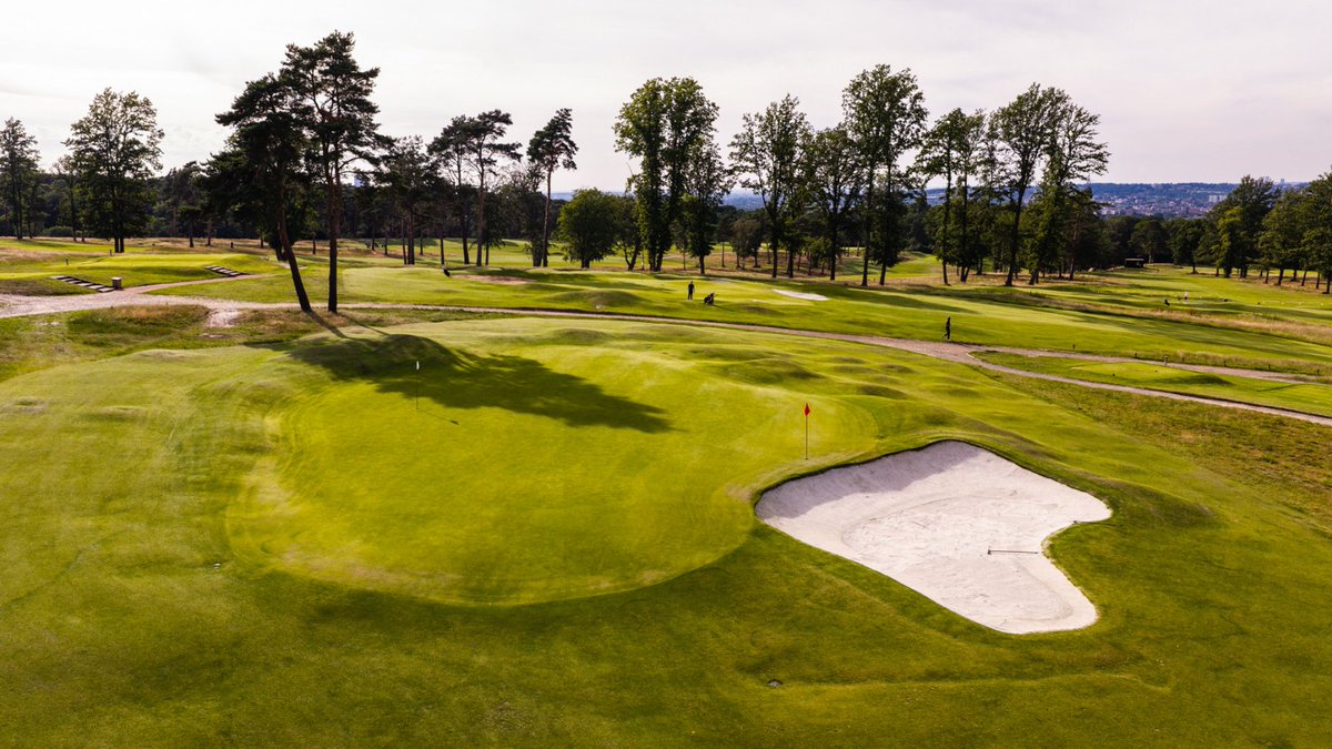 cookiejargolf tweet picture