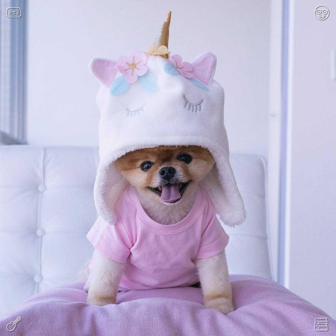 07masa05's tweet photo. 足球滚动的声音与草地上奔跑的脚步声交织在一起，谱写出了青春奋斗与体育精神中最热血的乐章。 https://t.co/tENYjQFow4
