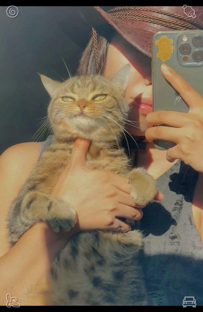 K3k9_'s tweet photo. Enjoy relaxing sunbathing and water activities by the pool. The warmth of the sun paired with the cool water creates a comfortable seasonal atmosphere, offering peaceful moments of summer enjoyment. https://t.co/KQboNTXOzz