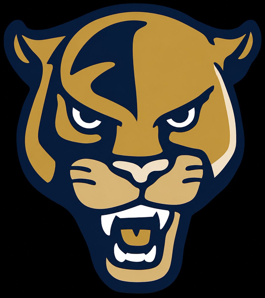 Maximus_QB's tweet photo. Blessed to receive an offer from FIU! Paws up🟦🟨 https://t.co/OdQnAGmsYE