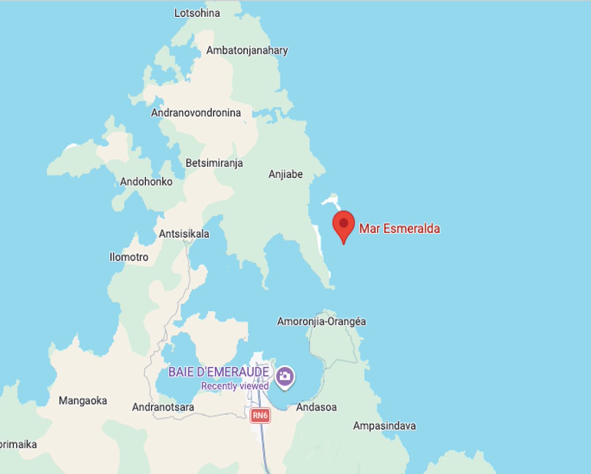 Tarde_WaterBear's tweet photo. off to Mer + Mar d'Émeraude on Nosy Suarez Island. #TheRuffRiderz  #FastAndFurriest
@katie_mali65944 @Lisa38807493  @Matt_Ironstone  @buck_bacaw @OgdentheCat @AngelaJester2 @NiftyNeels  @philduthie  @parsleysmum @suntreeriver @suncountrylive  @edginton_jane  @MsB0759 https://t.co/awTSvU1kGl