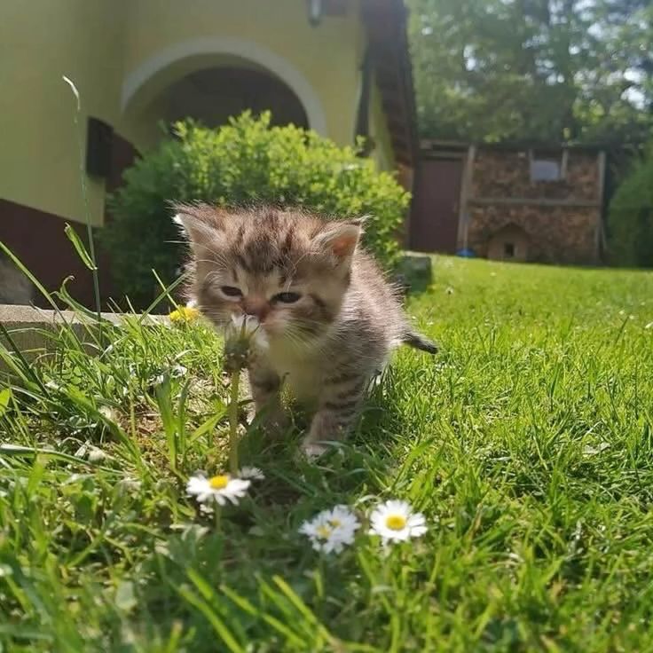 mirapien ๑ tweet media