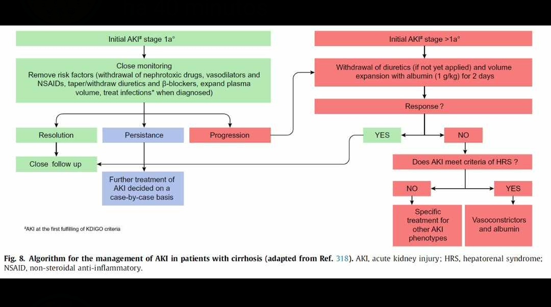 JimmyJuanc's tweet photo. Algoritmo para manejo de lesión renal aguda en paciente cirrótico

#medicina https://t.co/3ArW0wSeba