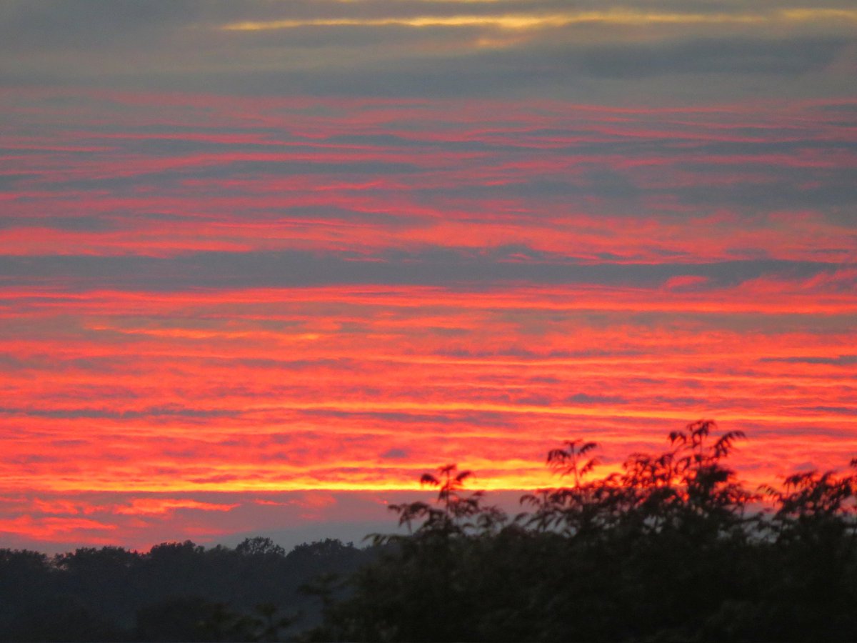 Jacksweatherch1's tweet photo. Fantastic fiery sky from my garden during the England game!
@StormHour @ThePhotoHour #loveukweather @Shefali_oza https://t.co/Sl0XVwCA2K