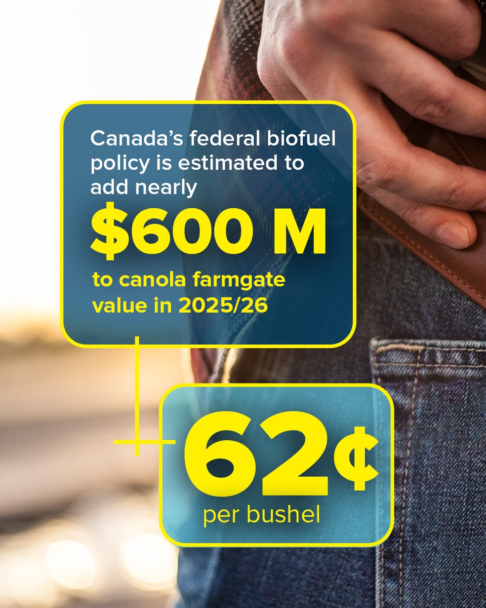 ccga_ca's tweet photo. Growing demand for Canadian canola in biofuel markets is creating stronger prices, new market opportunities, and added value here at home.

A future built on what we already grow.

More demand. More opportunity. More value for Canadian canola farmers.

Find out how: https://t.co/VbpRaONYil
#CdnAg #biofuels #canola