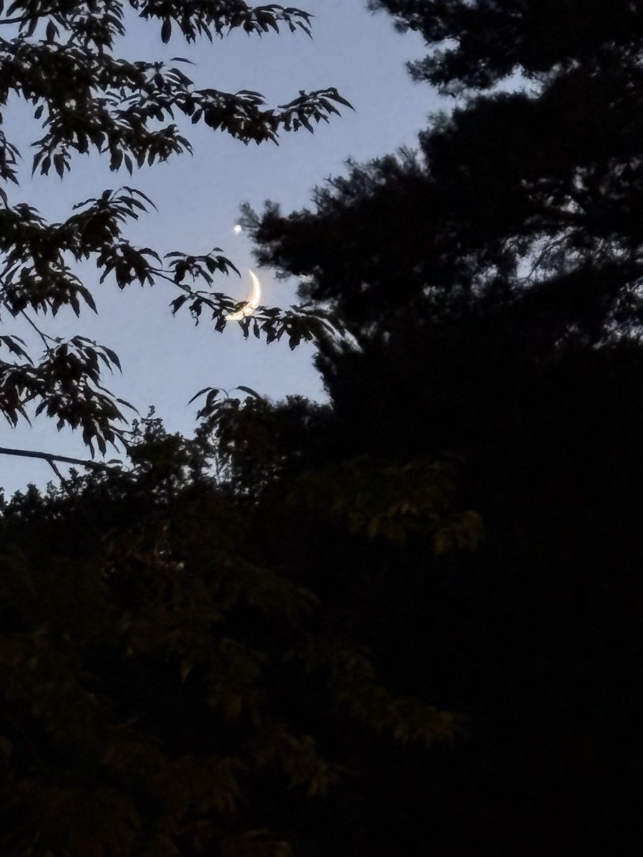 Database2000's tweet photo. Currently in a very hot France and the moon tonight is just incredible.. the photo won’t do it justice .. a crescent moon with Venus in view https://t.co/LPxf7xG6Fg