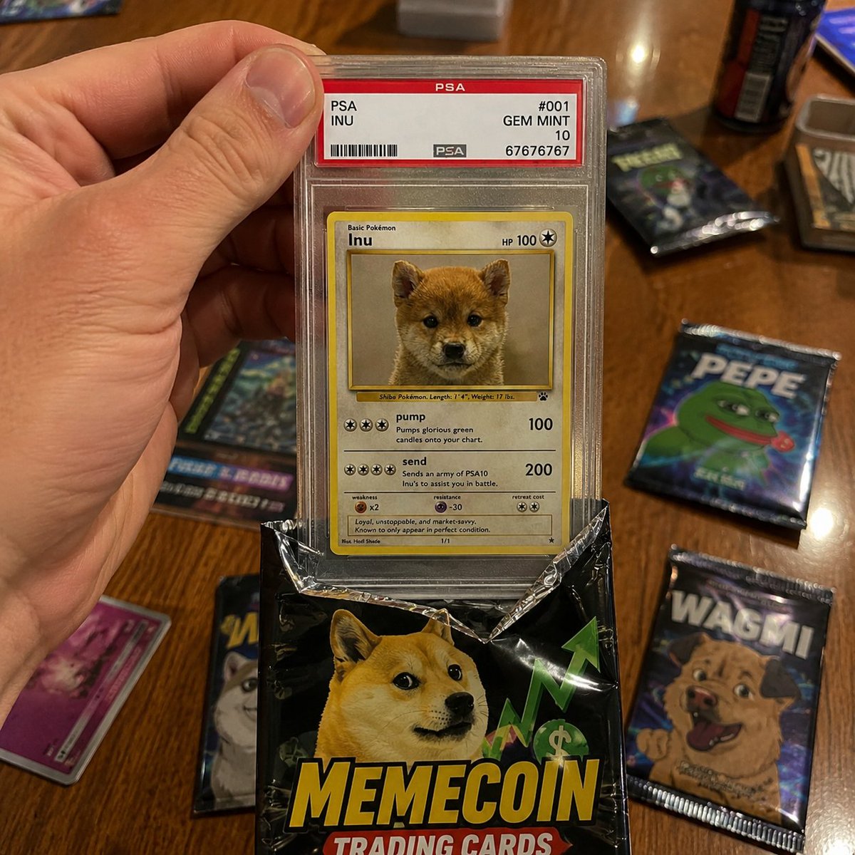 PSA10Inu's tweet photo. never forget the lure 

The most pristine of all pokemon cards is a PSA10 edition card.  

We've never seen how valuable a PSA10 Inu could become. 

 It's time for a PSA10 Inu https://t.co/A3ShiIoAFo
