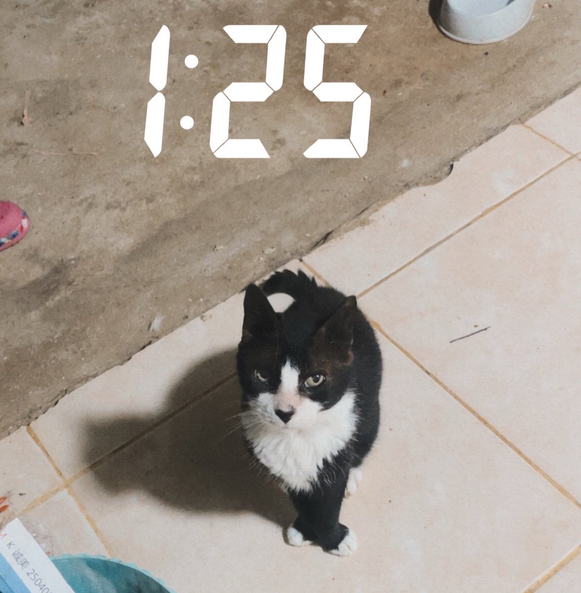 Biitachi_'s tweet photo. Coraline ayer 🥺 https://t.co/NNYdNaSHlo
