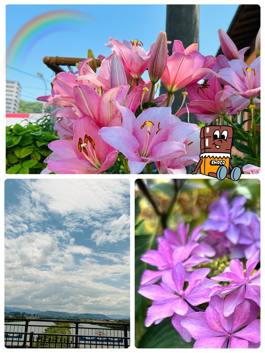 yuria__47's tweet photo. .
おはよーぉですぅෆ

突然の雷雨、ゲリラ豪雨
地震など何が起こるか
分からないこの頃

幸せ感じる1日に
なりますょうに．．ᰔᩚ

今日もお元気で

6／18．．yuria..𖧧*
＃Love感謝しかないです
＃今週もありがとうございました https://t.co/grrvQpGWjk