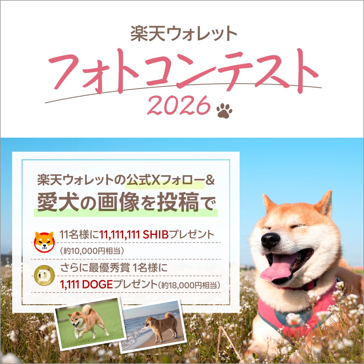Rakuten_Wallet's tweet photo. ＼あなたの愛犬のベストショットを募集します🐶／
楽天ウォレットでは、愛犬との心温まる瞬間をシェアいただく「フォトコンテスト2026」を開催！
素敵な写真を投稿してくださった方の中から、選考で11名様にSHIBを、最優秀賞1名様にDOGEをプレゼントいたします。
応募は簡単！
① @Rakuten_Wallet をフォロー
② 「#RWフォトコンテスト2026 」をつけて写真を投稿するだけ
みんなの投稿で、タイムラインをかわいいわんこでいっぱいにしましょう！
素敵な投稿を楽しみにお待ちしております！
詳細：https://t.co/YBuifbyQHE
#楽天ウォレット #RWフォトコンテスト2026 #犬のいる暮らし