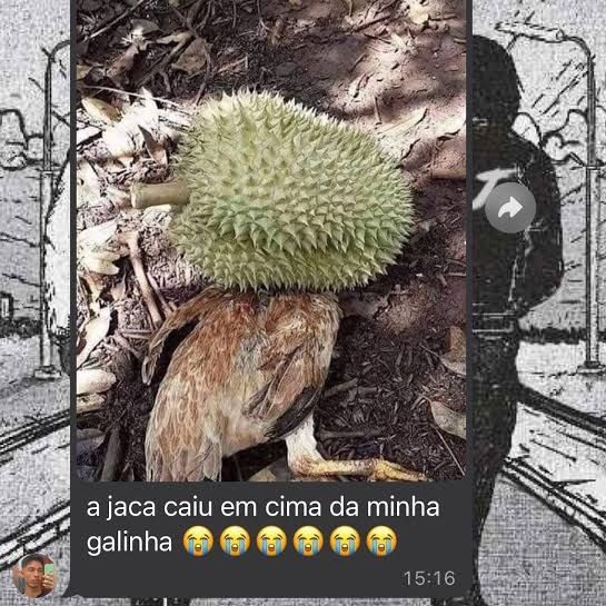 susgovbr's tweet photo. tadinha :( https://t.co/zTSF8atixG