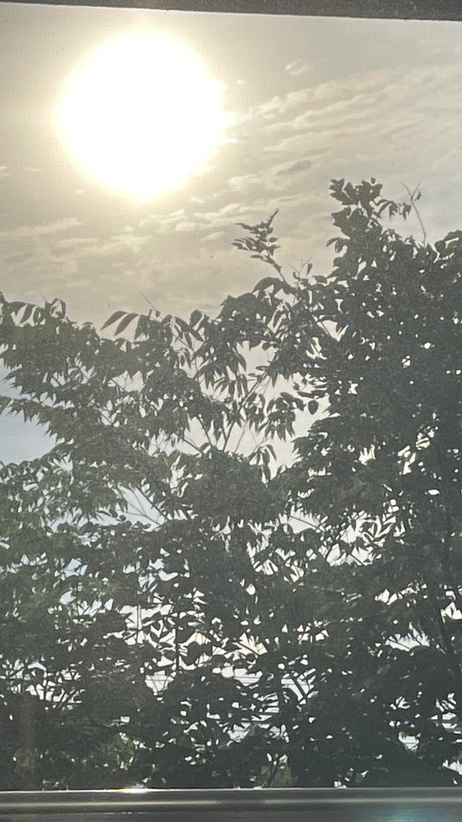 soozuraze's tweet photo. 眩しい朝
今日は最高気温30℃ 午後から
雨☂️の予報
新潟もそろそろ梅雨入りかな？ https://t.co/33z4uPq7wM