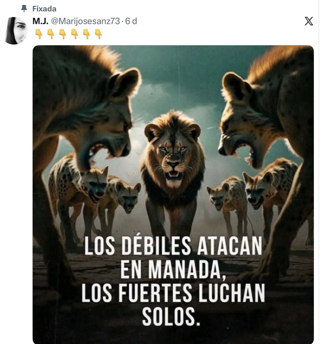 benet_gc's tweet photo. @Marijosesanz73 Tens tota la raó, calia una manada https://t.co/5ijPlT17Lh