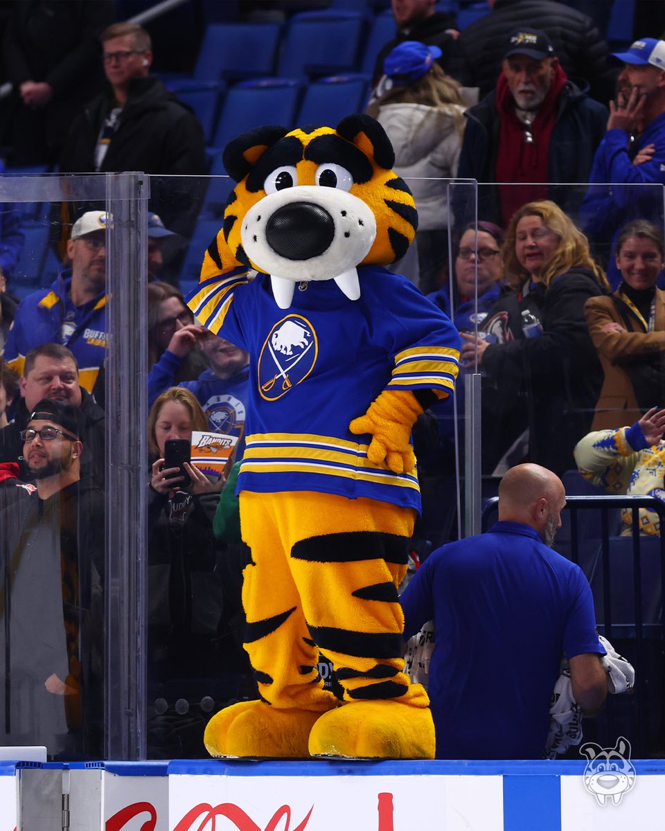 Sabretooth_NHL's tweet photo. A whole day dedicated to how iconic I am 😻 #NationalMascotDay https://t.co/B7cleyo1hx