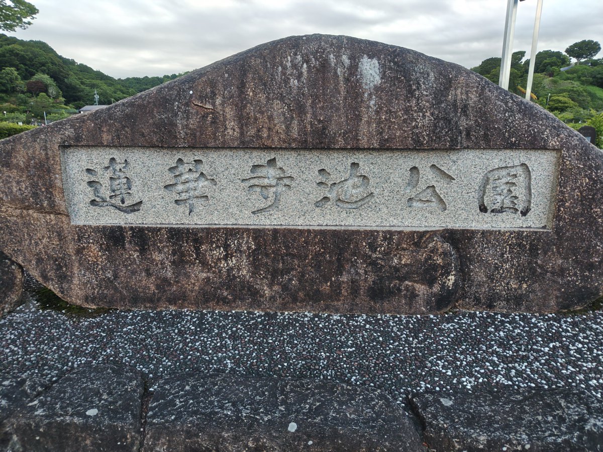 brasstea001's tweet photo. 蓮華寺池公園でいろいろな花を見てから公園内を後にしました｡またゆっくりと散策してみたいなと思います｡
#蓮華寺池公園 https://t.co/IKx61VO4fA