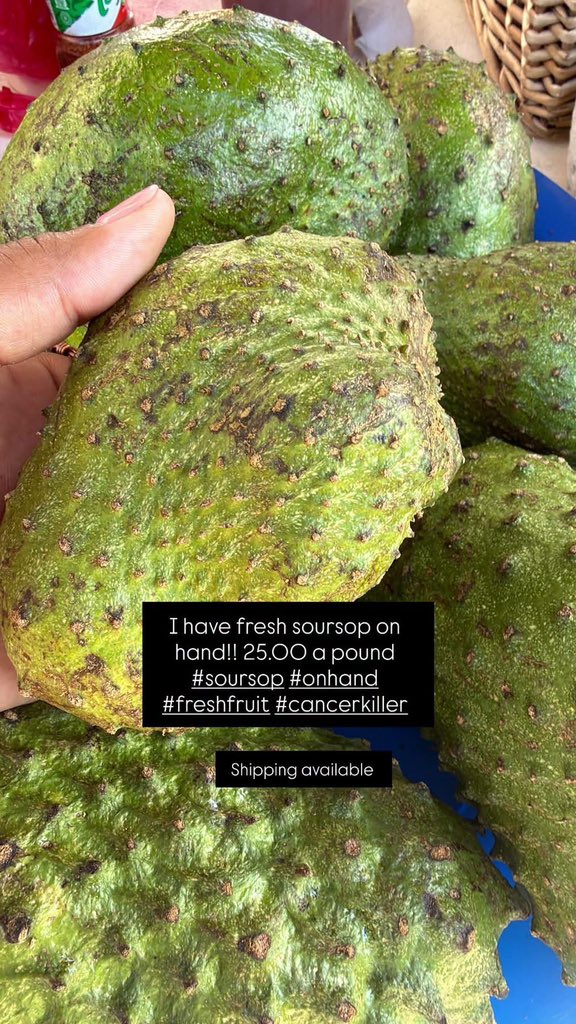 Yellebabe67's tweet photo. #soursop #fresh #shippingavailable #soursopleaves #cancerkiller https://t.co/8ubtSQfRGg