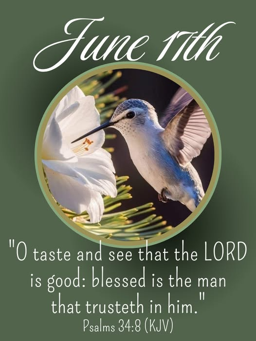 DavidWHarrison1's tweet photo. O taste and see that the LORD is good: blessed is the man that trusteth in him.
Psalm 34:8