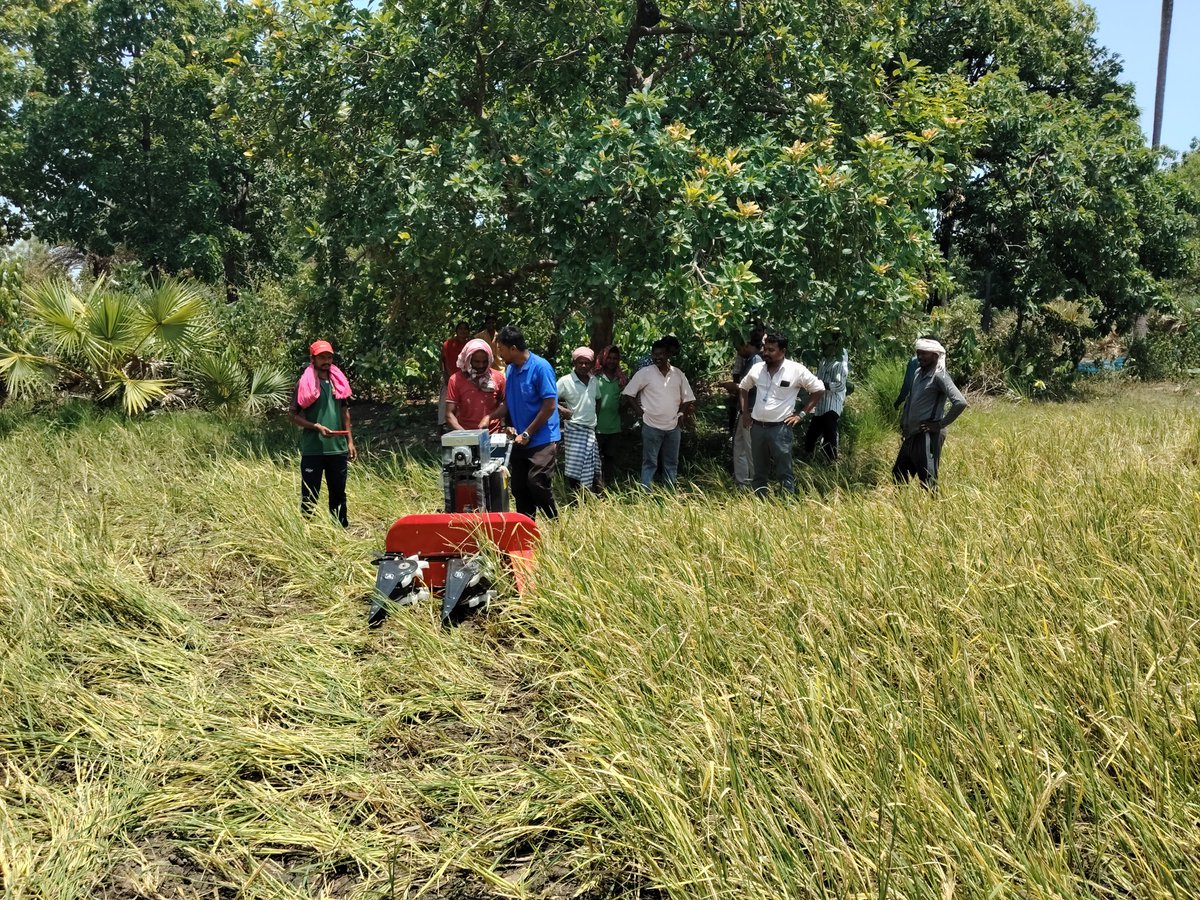 ajitkrbgp's tweet photo. @stepupify 🌾 STEPUPIFY demo in Malkangiri, Odisha: smart battery agri tools boosting productivity &amp; reducing drudgery. 🚜⚡🌱 https://t.co/4N07OdWNu5