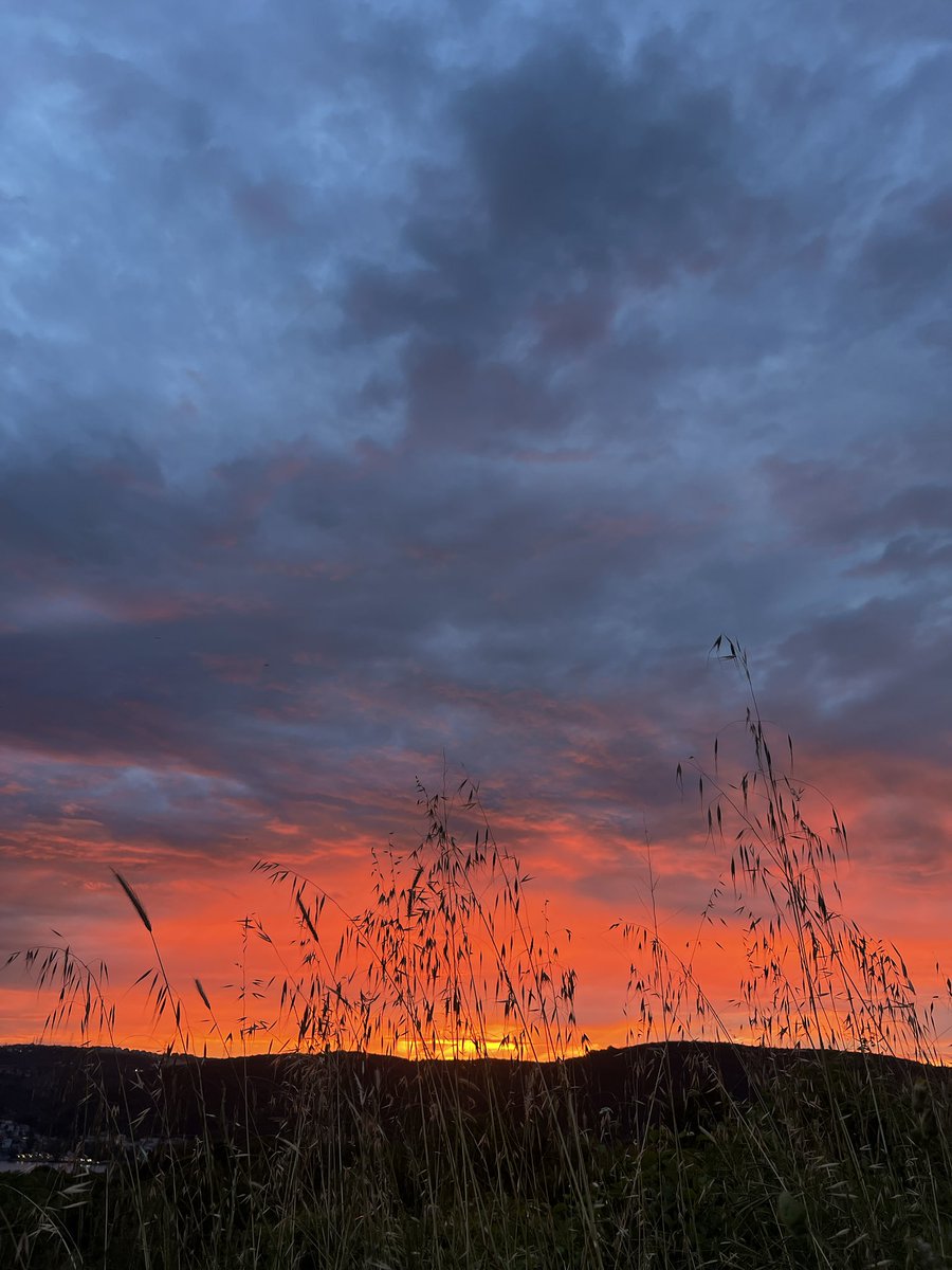 nazl_sss's tweet photo. #sunset
#sunsetlove
#günbatımı
#istanbul
#beykoz https://t.co/rjMUFSvHpY
