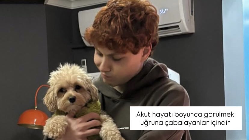 ceylin | #11 tweet media