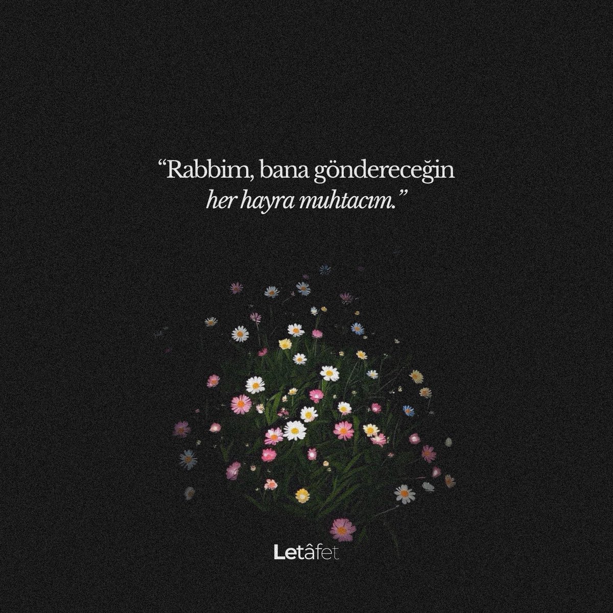 Letafetx's tweet photo. https://t.co/Xq94ElJYZg