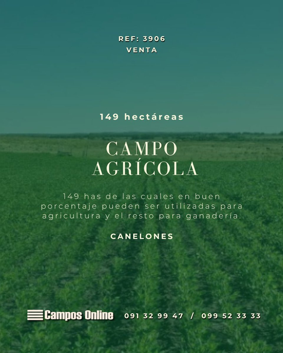 camposonlineuru's tweet photo. Por más información visite: 💻 Referencia 3906 en https://t.co/FSEirOLPKD      

O contáctenos: 📩  
 
🌱Inmobiliaria Rural Campos Online Uruguay 🇺🇾 https://t.co/lEWr4DEnah