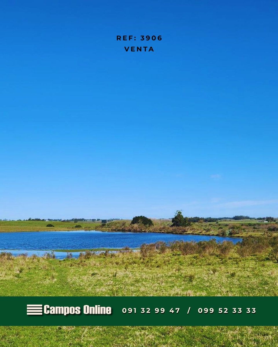 camposonlineuru's tweet photo. Por más información visite: 💻 Referencia 3906 en https://t.co/FSEirOLPKD      

O contáctenos: 📩  
 
🌱Inmobiliaria Rural Campos Online Uruguay 🇺🇾 https://t.co/lEWr4DEnah